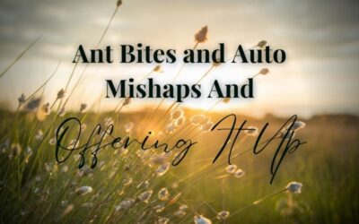 Ant Bites and Auto Mishaps And Offering It Up
