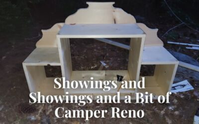 Showings and Showings and a Bit of Camper Reno