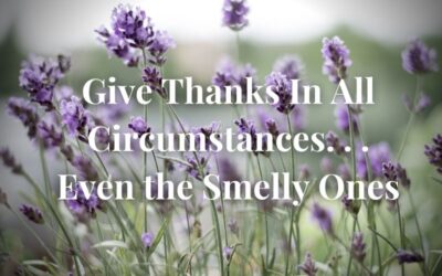 Give Thanks In All Circumstances. . . Even the Smelly Ones